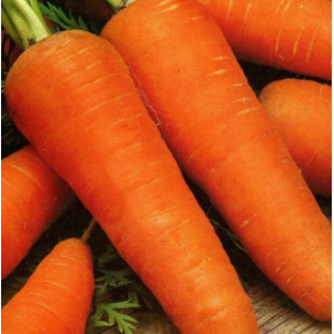Шантане - морква, 50 гр, Clause (Клоз) Франція - Фасовка  фото, цiна